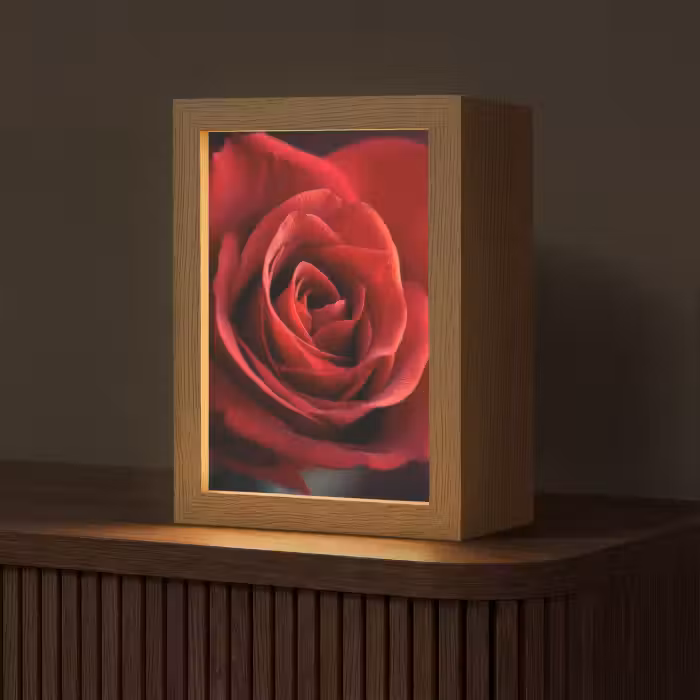 Tafellamp - Rood - Roos - Romantisch