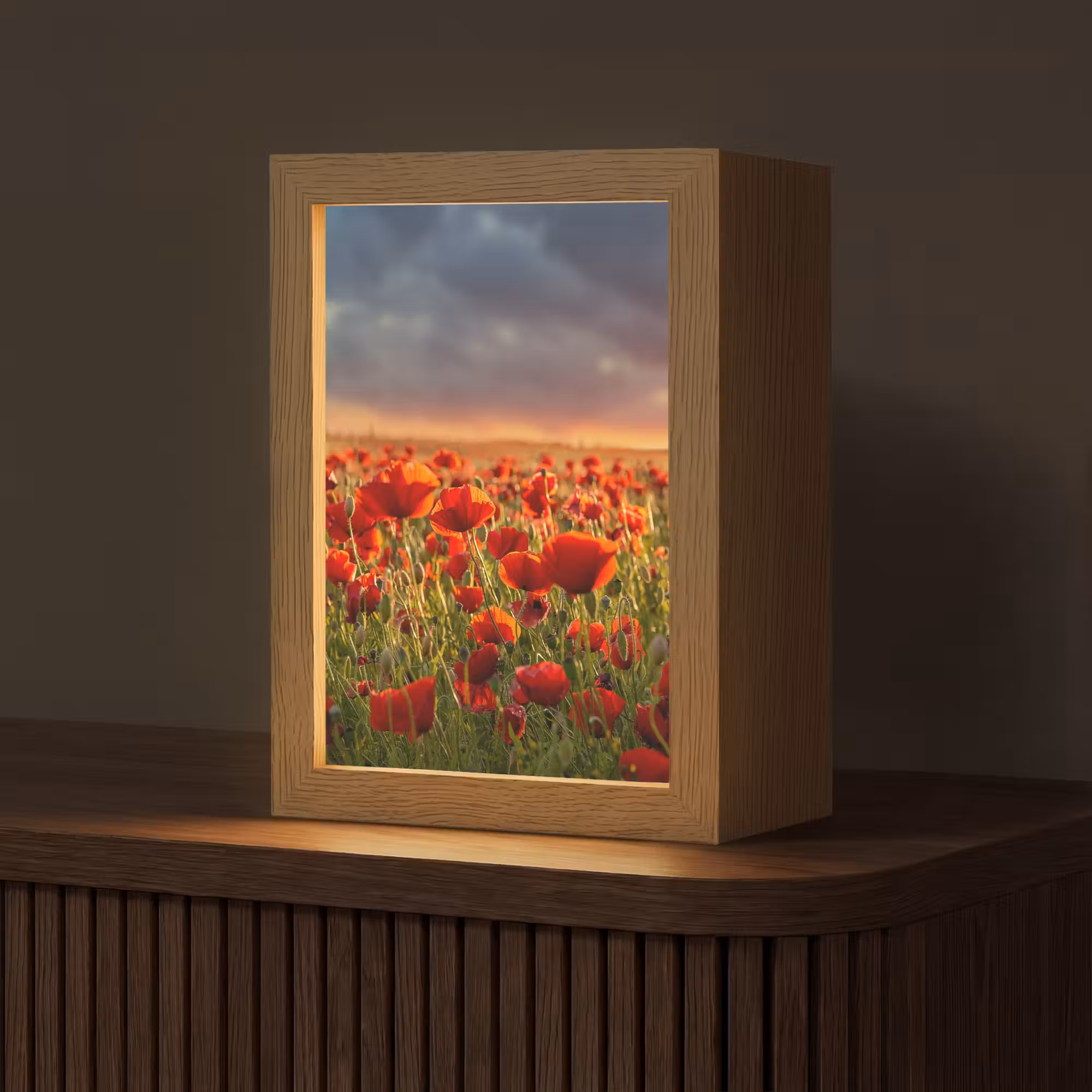 Tafellamp - Zonsondergang - Klaprozen - Rood - Bloemen - Veld - Natuur