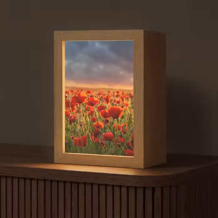 Tafellamp - Zonsondergang - Klaprozen - Rood - Bloemen - Veld - Natuur