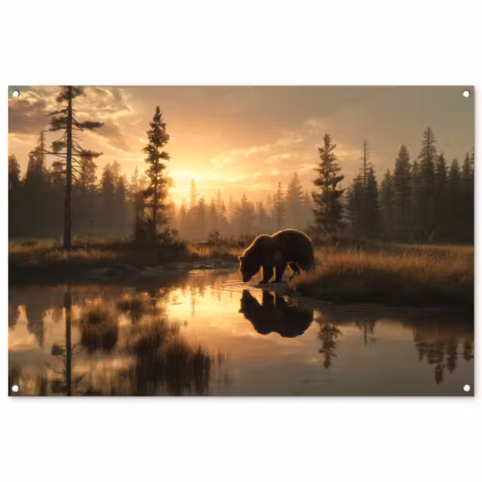 Tuinposter - Beer - water - Bos - Ochtendlicht
