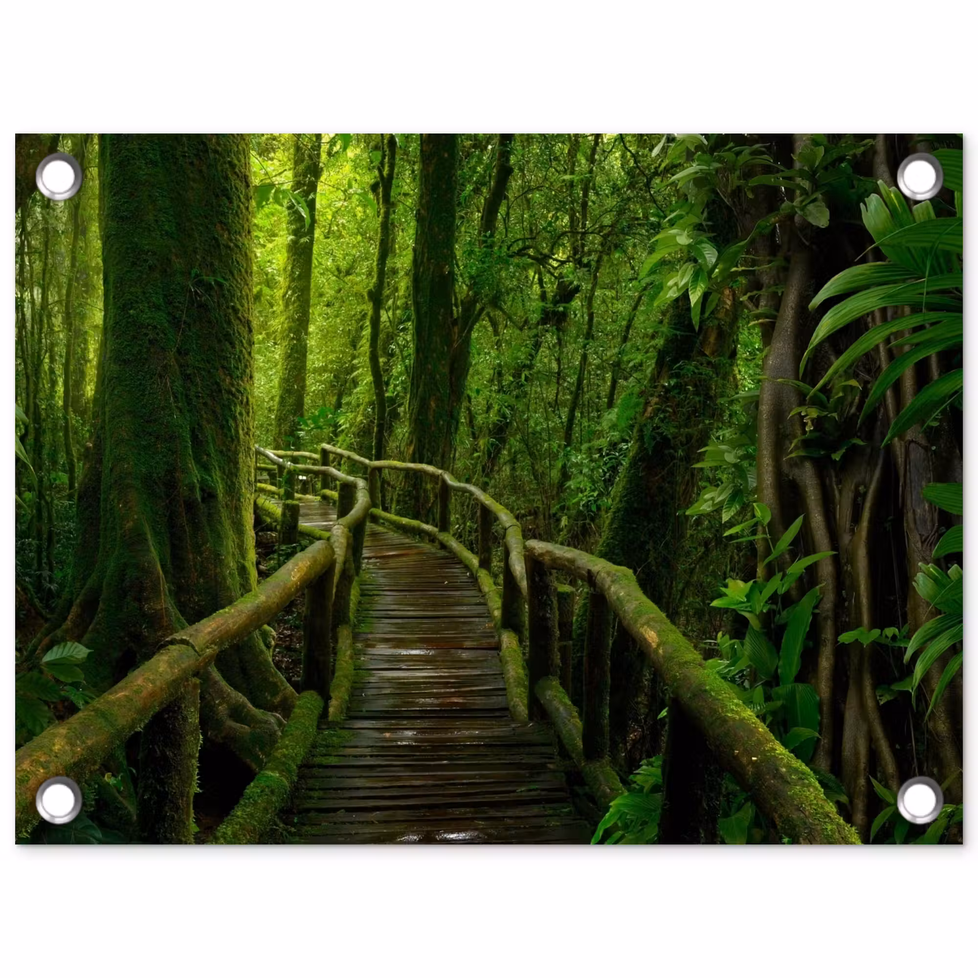 Tuinposter - Groene Oase van Rust