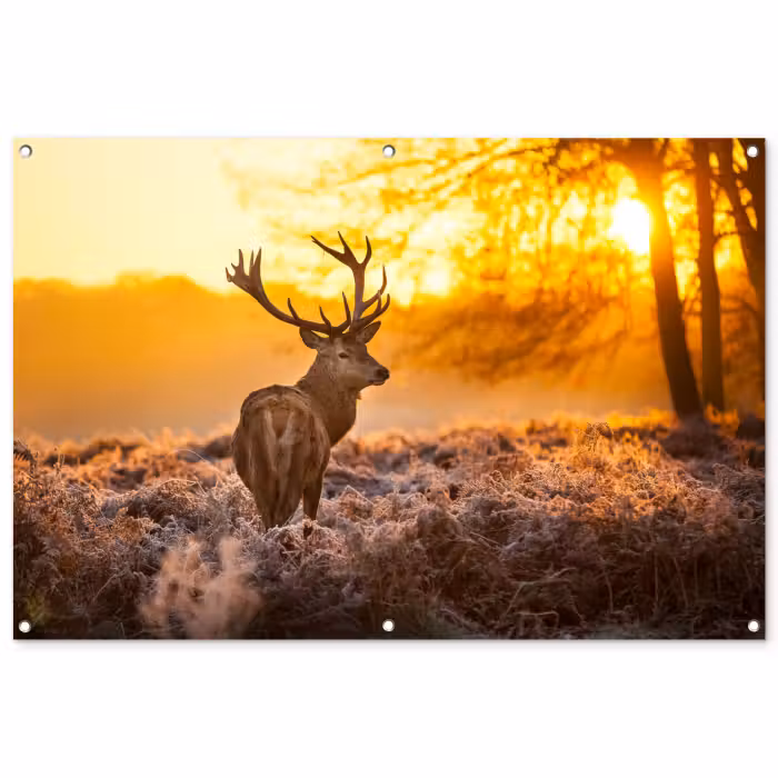 Tuinposter - Hert - Dieren - Zonsondergang - Winter - Heide - Natuur