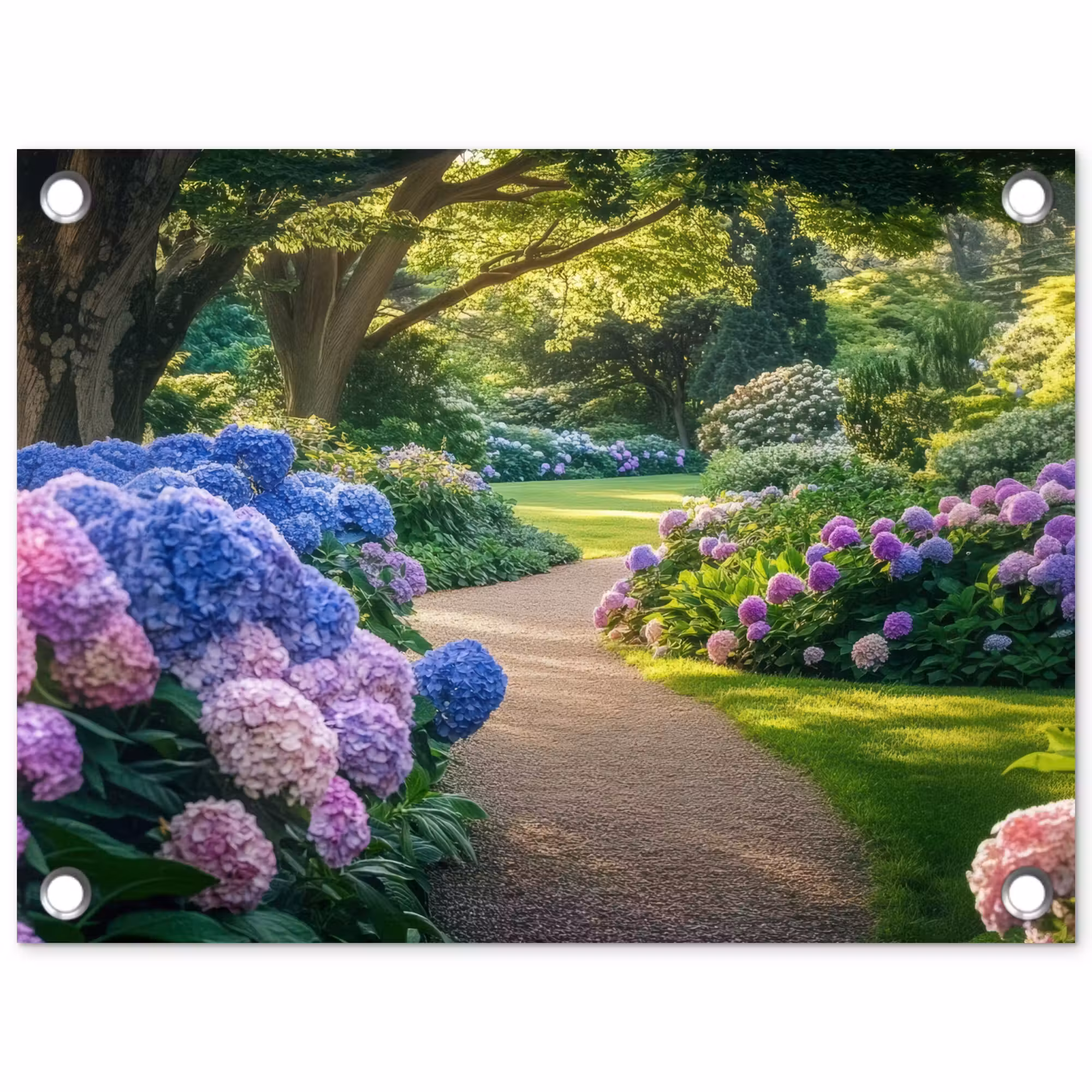 Tuinposter - Hortensia- Park - Pad