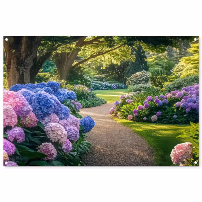 Tuinposter - Hortensia- Park - Pad