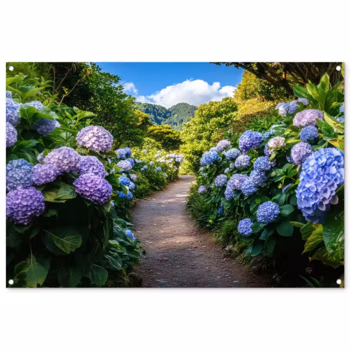 Tuinposter - Hortsensia - Pad - Bloemen