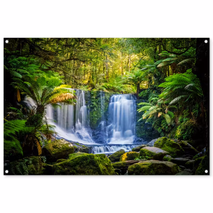 Tuinposter - Jungle - Waterval - Australië - Planten - Natuur