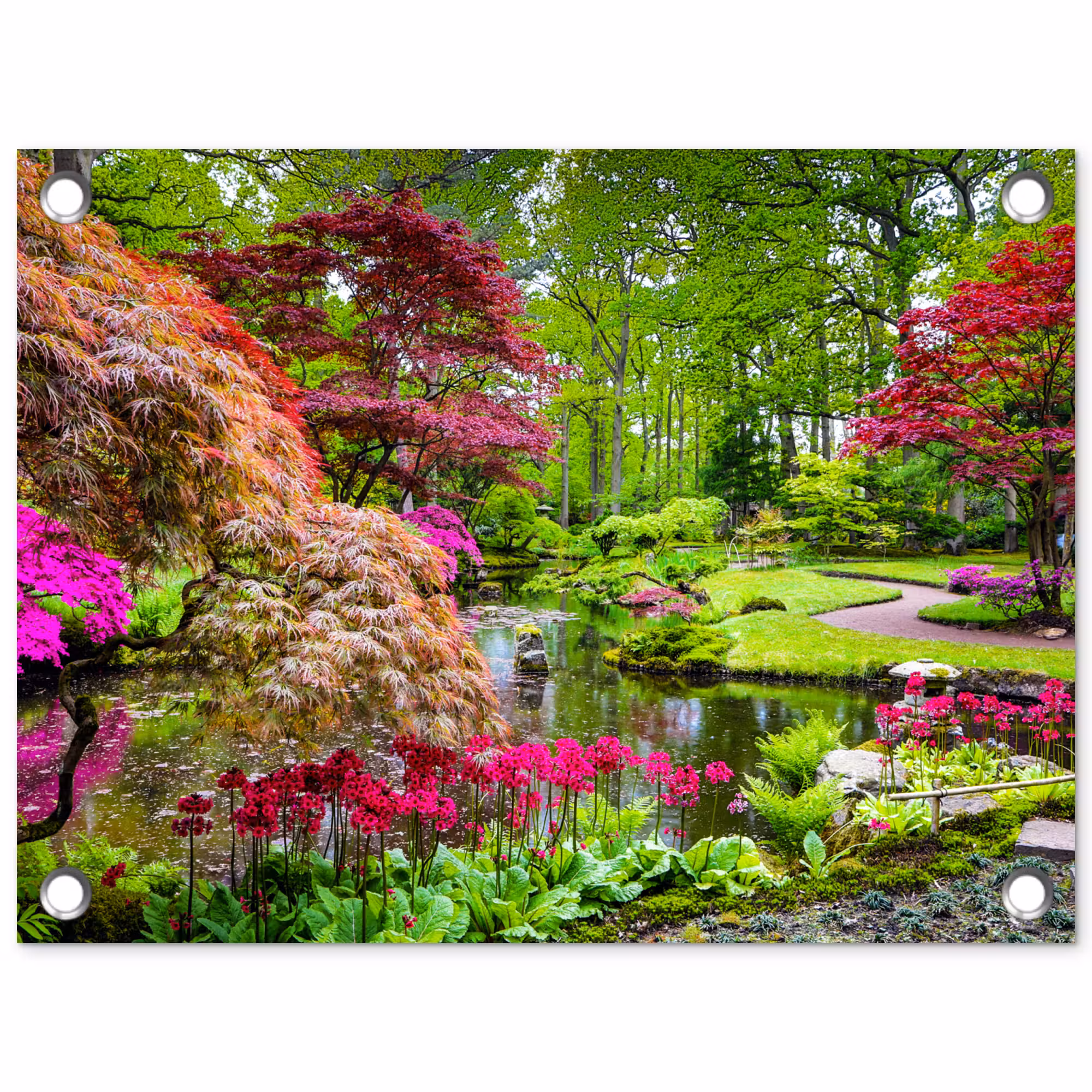Tuinposter - Kleurrijke Japanse tuin