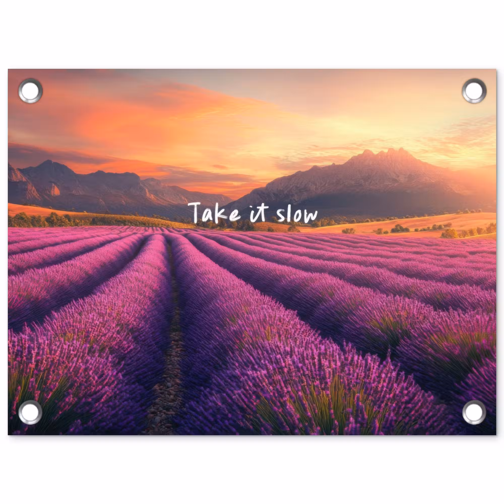 Tuinposter - Lavendelveld - Quote - Zonsondergang