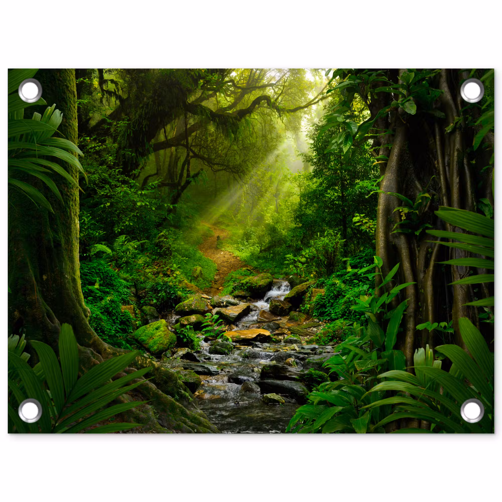 Tuinposter - Pad door het Regenwoud