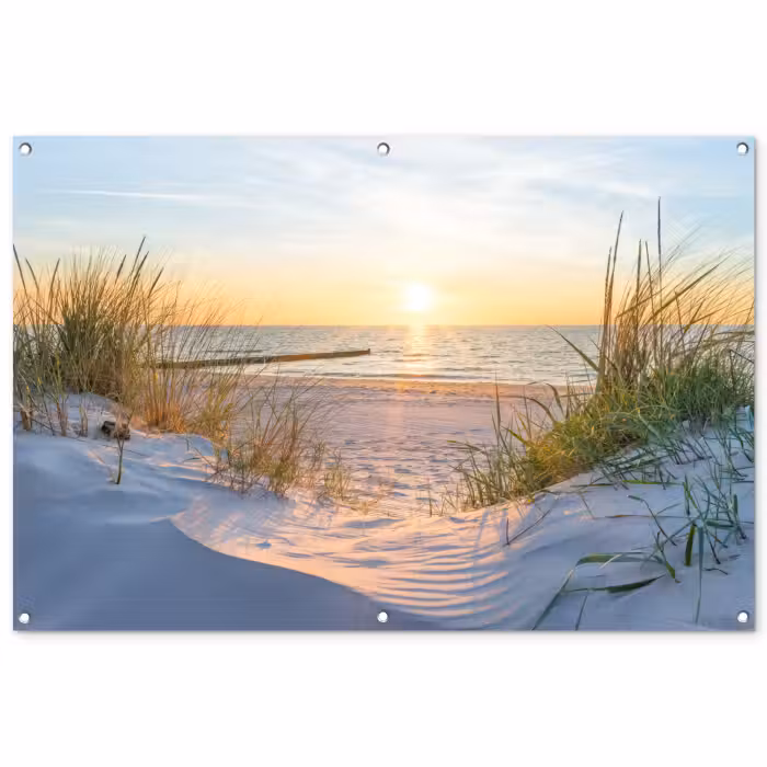 Tuinposter - Strand - Zon - Duin - Gras - Zand - Horizon