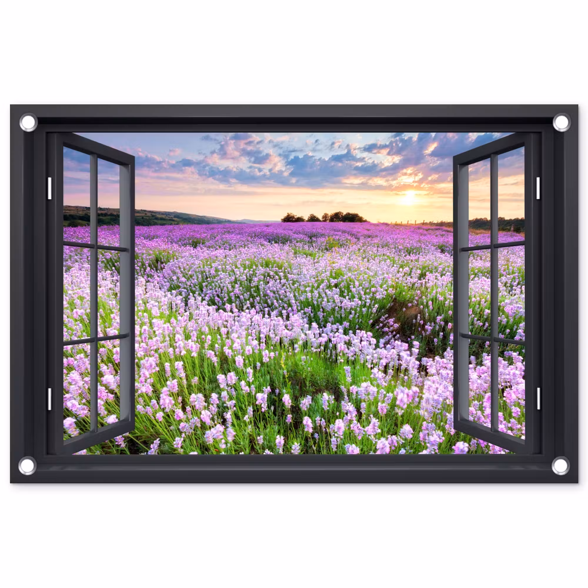 Tuinposter - Uitzicht op Lavendelveld bij Zonsondergang