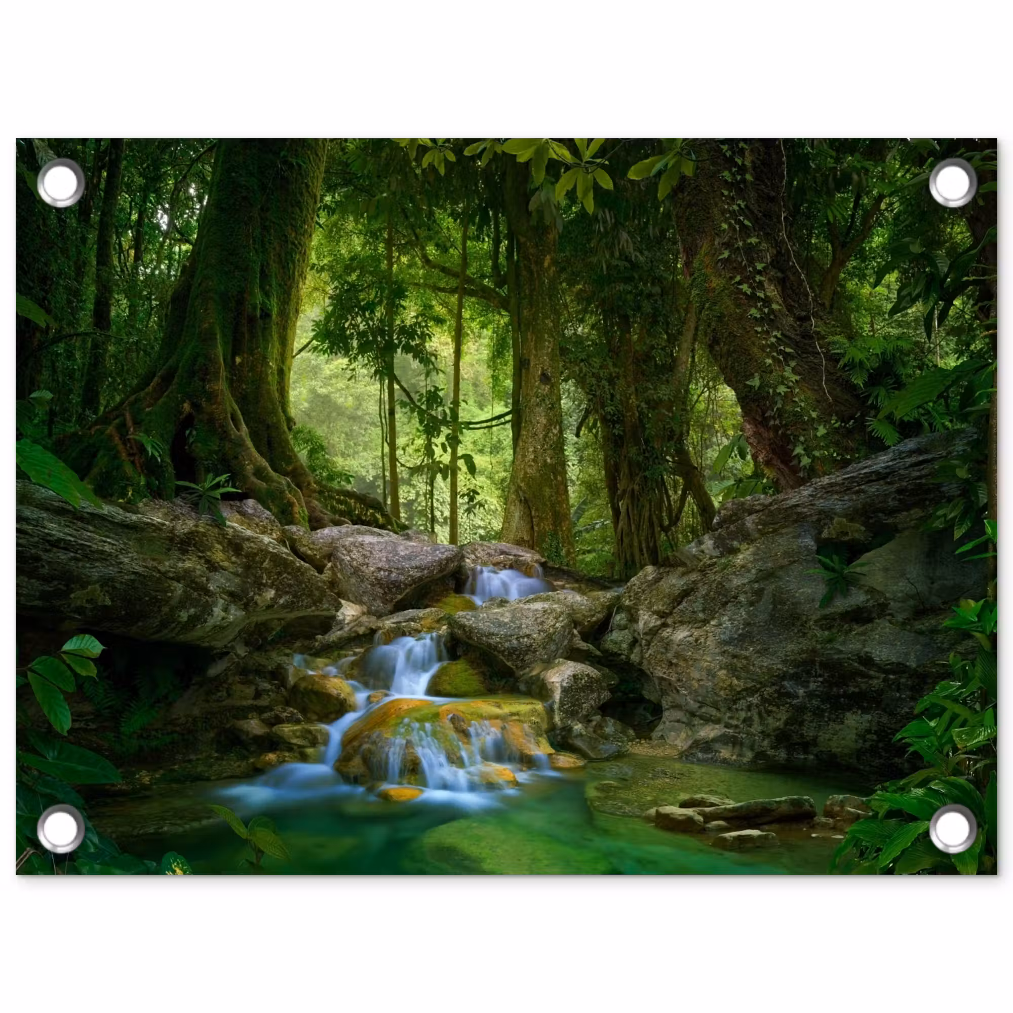 Tuinposter - Waterval in het Regenwoud