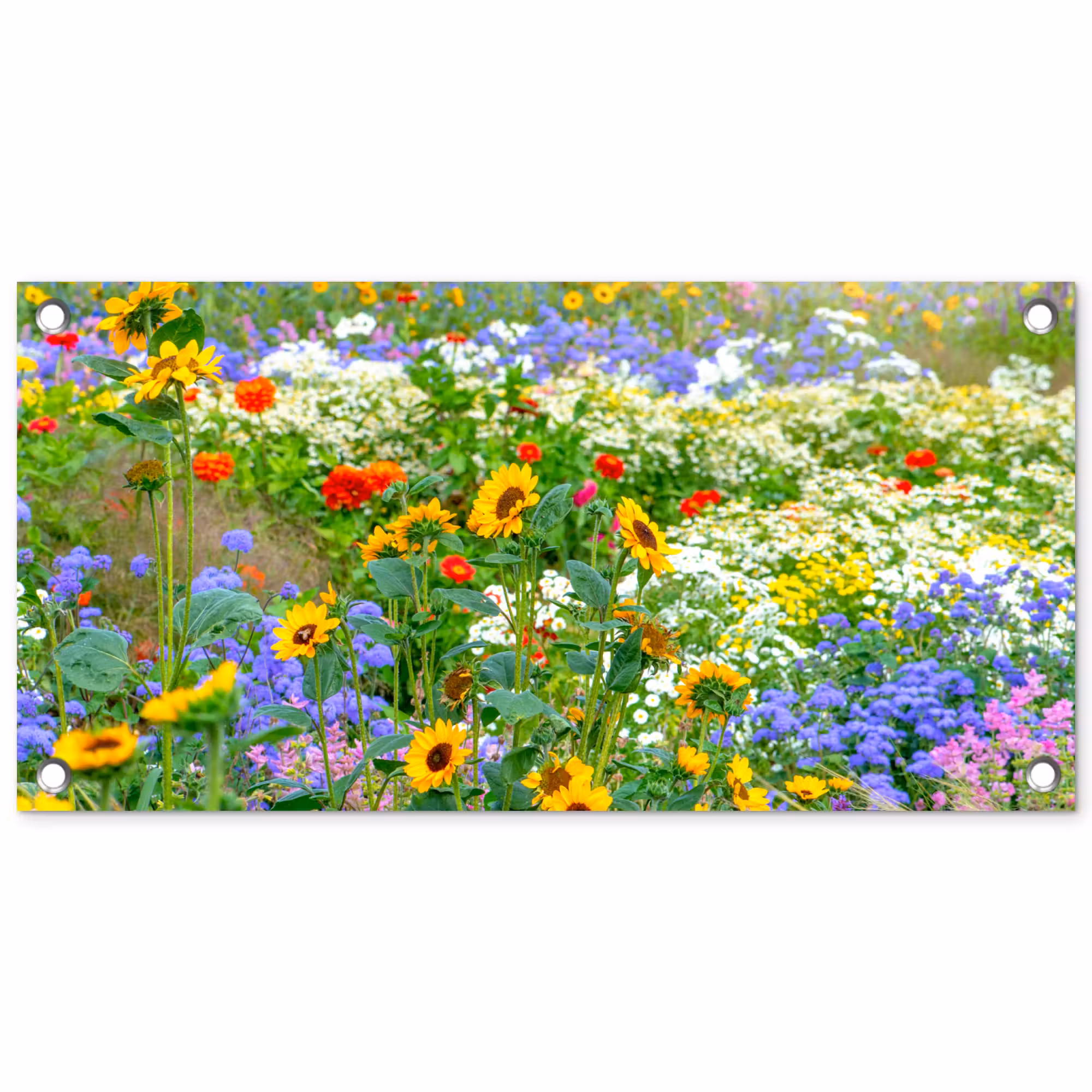 Tuinposter - Zomerbloemen in volle bloei