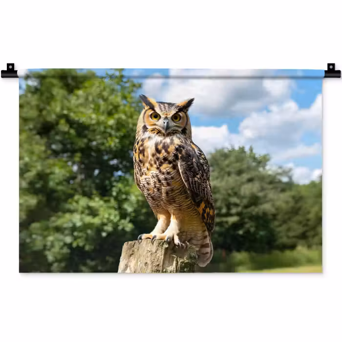 Wandkleed - Uil - Boomstronk - Bos - Lucht