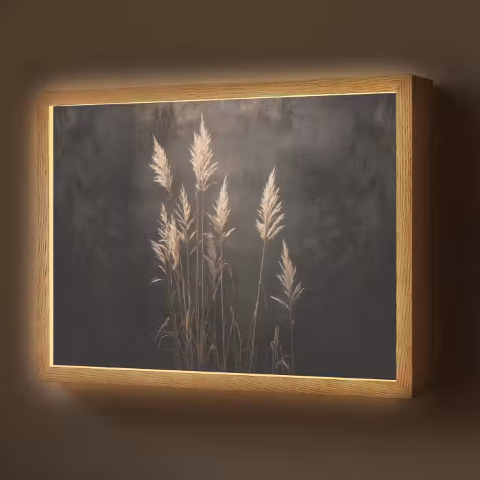 Lightbox - Wandlamp - Siergras - Pluimen - Verlichting - Zwart