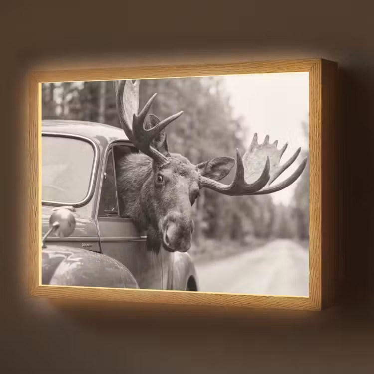 Lightbox - Wandlamp - Eland in Oldtimer