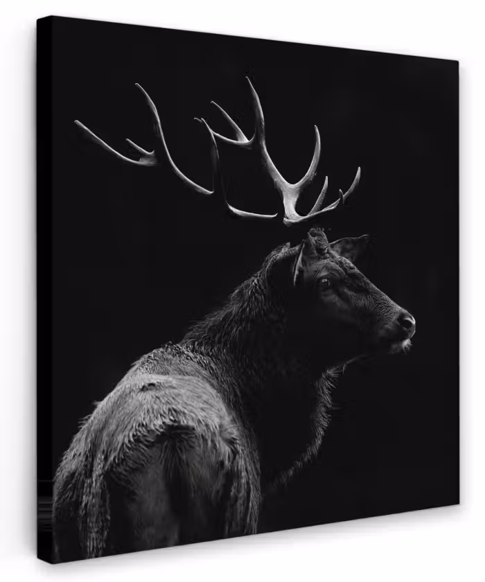 Canvas schilderij - Hert - Zwart - Wit - Gewei