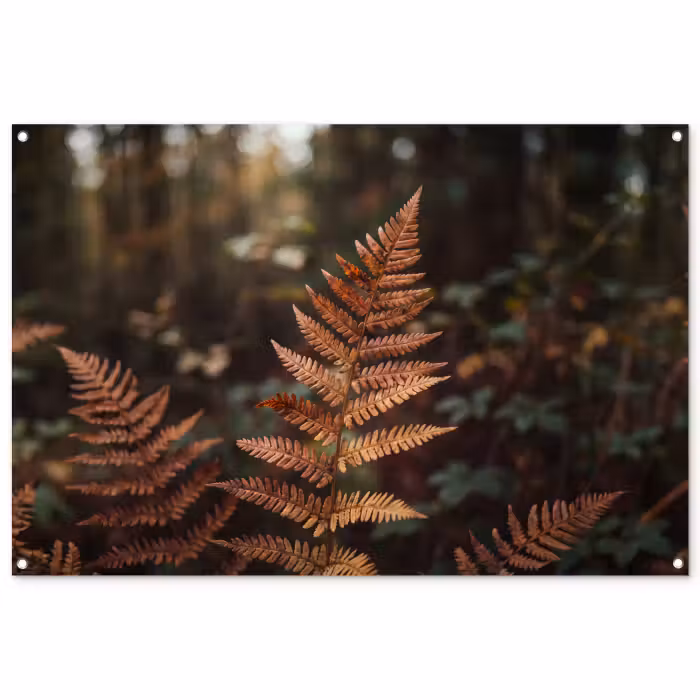 Tuinposter - Varen - Herfst - Natuur