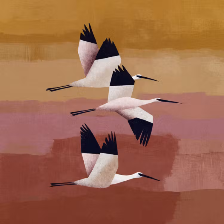 Behang - Vliegende Vogels Abstracte Achtergrond