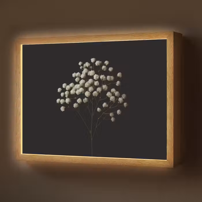 Lightbox - Wandlamp - Gipskruid - Bloemetjes - Wit - Minimalistisch