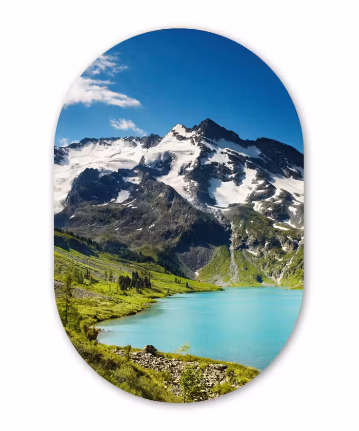 Muurovaal - Sneeuw - Berg - Water