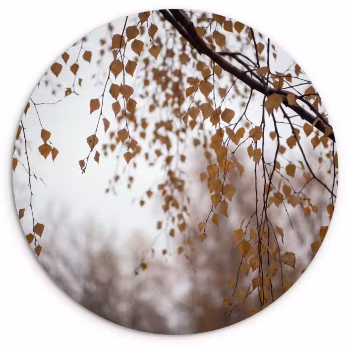 Wandcirkel - Glas - Herfstblad - Natuur - Geel