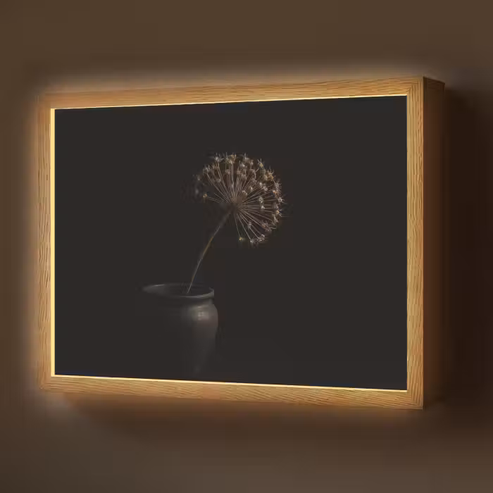 Lightbox - Wandlamp - Bol - Gedroogd - Vaas - Zwart