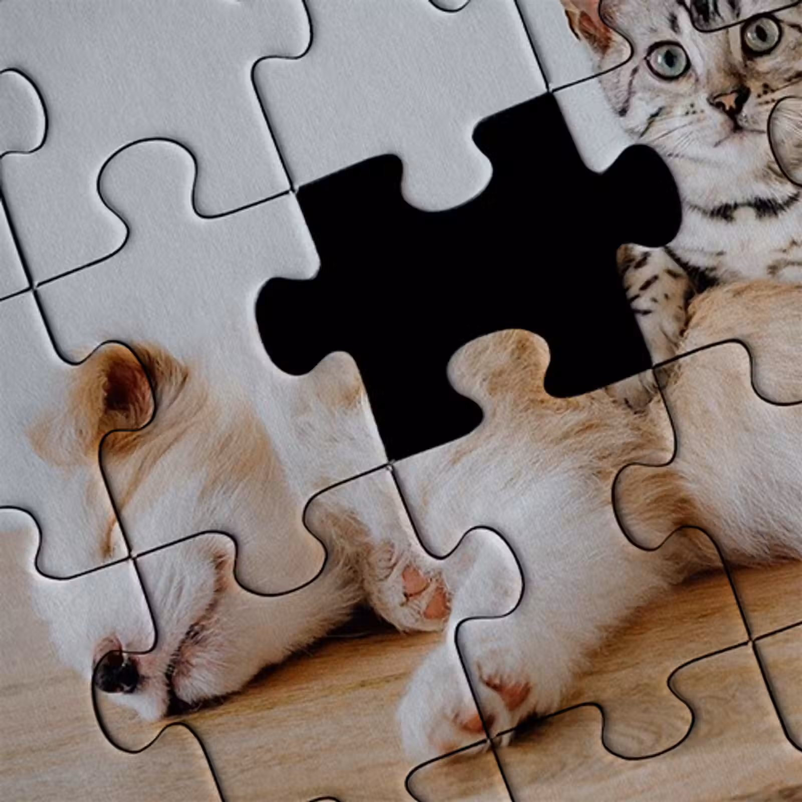Puzzel met doos — 1