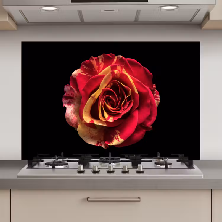 Spatscherm keuken - Bloem - Roos - Rood - Zwart — 1