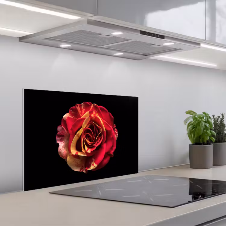 Spatscherm keuken - Bloem - Roos - Rood - Zwart — 5
