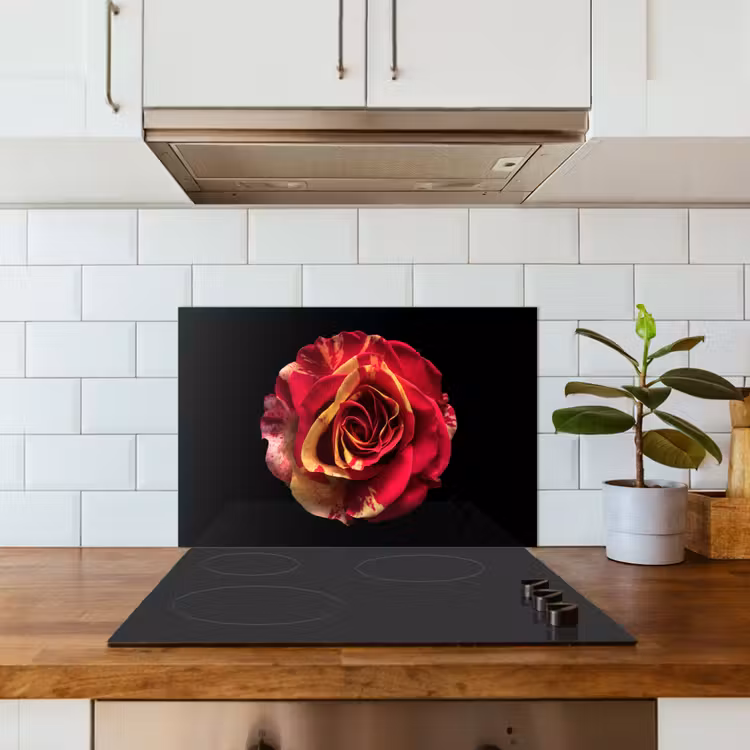 Spatscherm keuken - Bloem - Roos - Rood - Zwart — 6