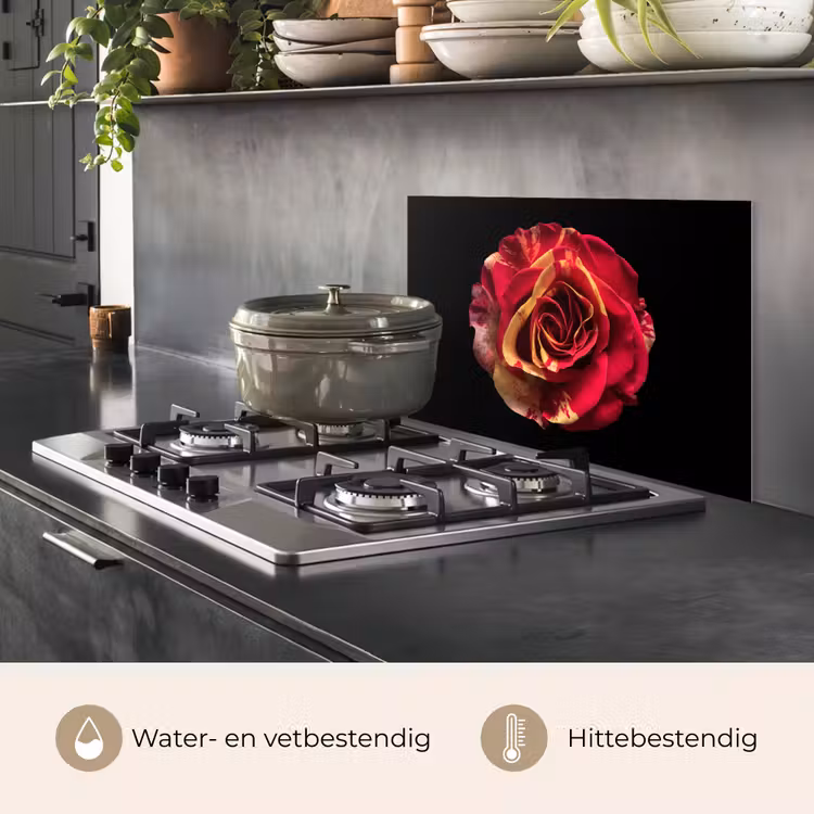 Spatscherm keuken - Bloem - Roos - Rood - Zwart — 7