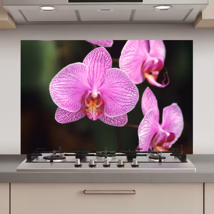 Spatscherm keuken - Roze orchidee — 1
