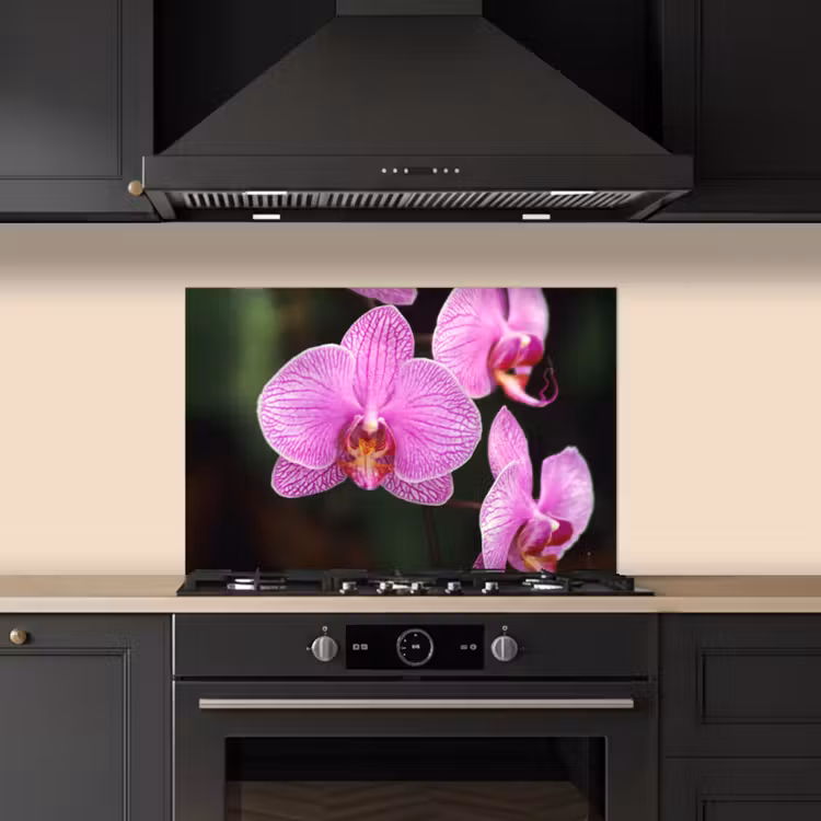 Spatscherm keuken - Roze orchidee — 2