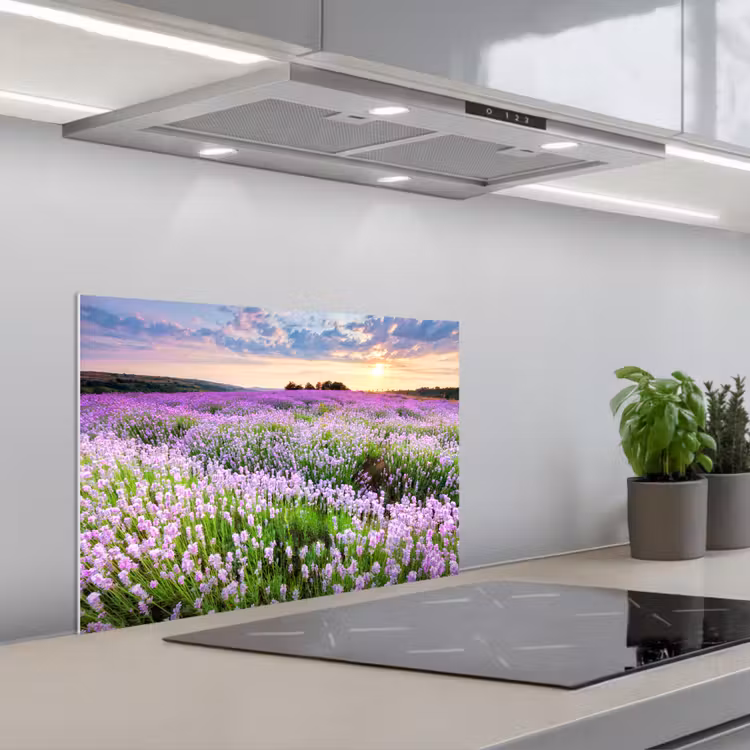 Spatscherm keuken - Bloemen - Lavendel - Paars - Lucht - Zonsondergang - Weide - Natuur — 5