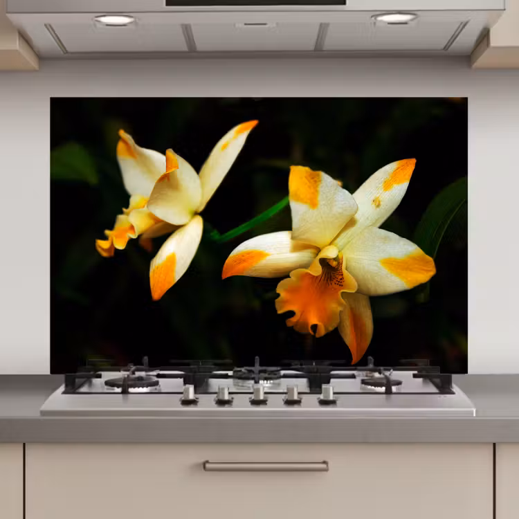 Spatscherm keuken - Twee orchideebloemen — 1