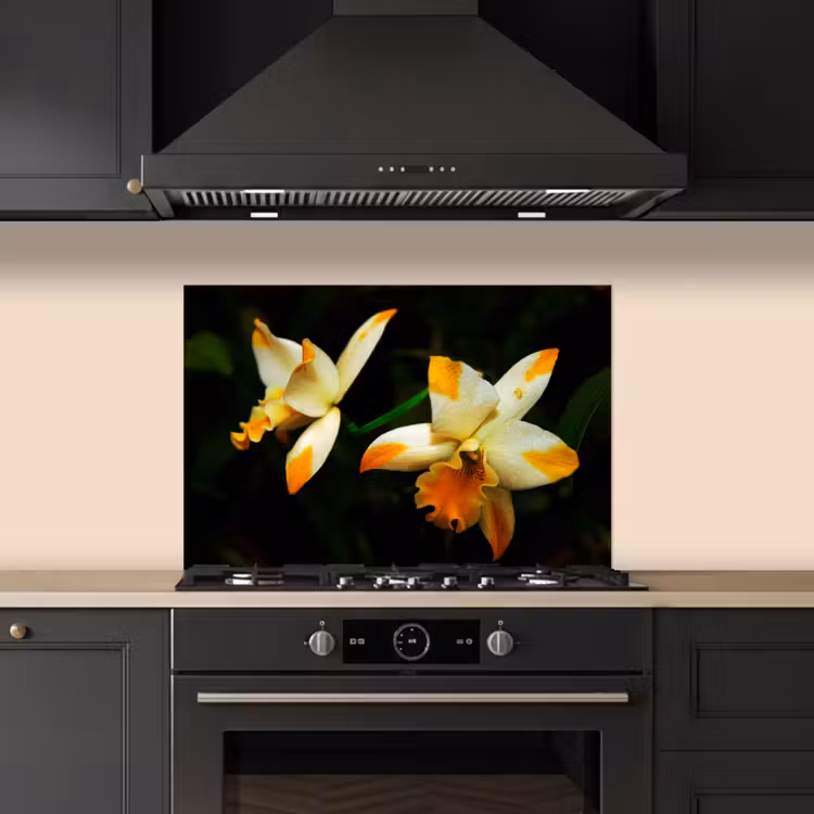 Spatscherm keuken - Twee orchideebloemen — 2