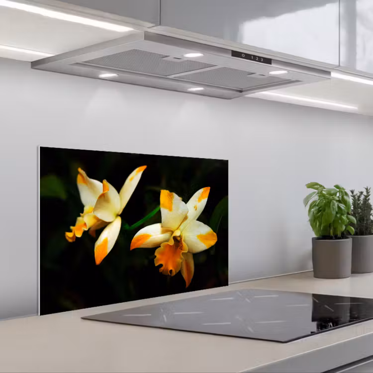 Spatscherm keuken - Twee orchideebloemen — 5