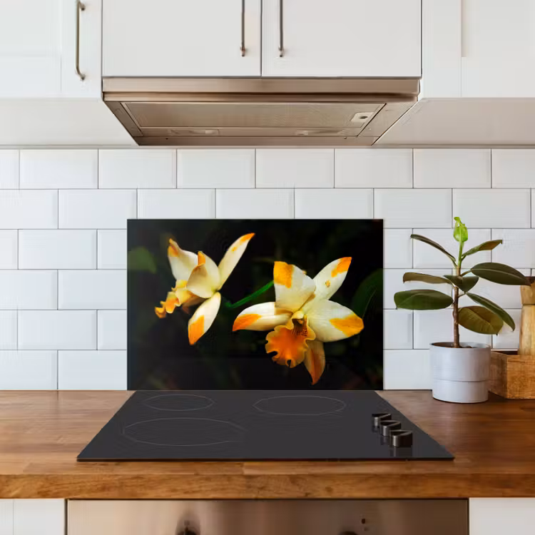 Spatscherm keuken - Twee orchideebloemen — 6