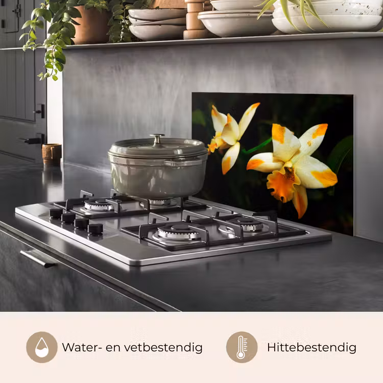 Spatscherm keuken - Twee orchideebloemen — 7