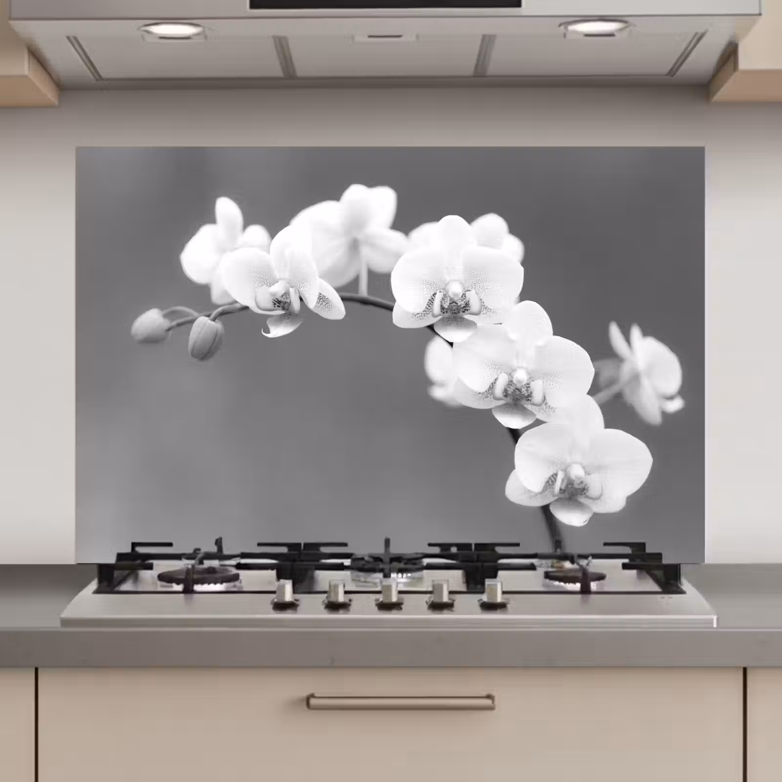 Spatscherm keuken - Monochrome Orchideeënpracht — 1