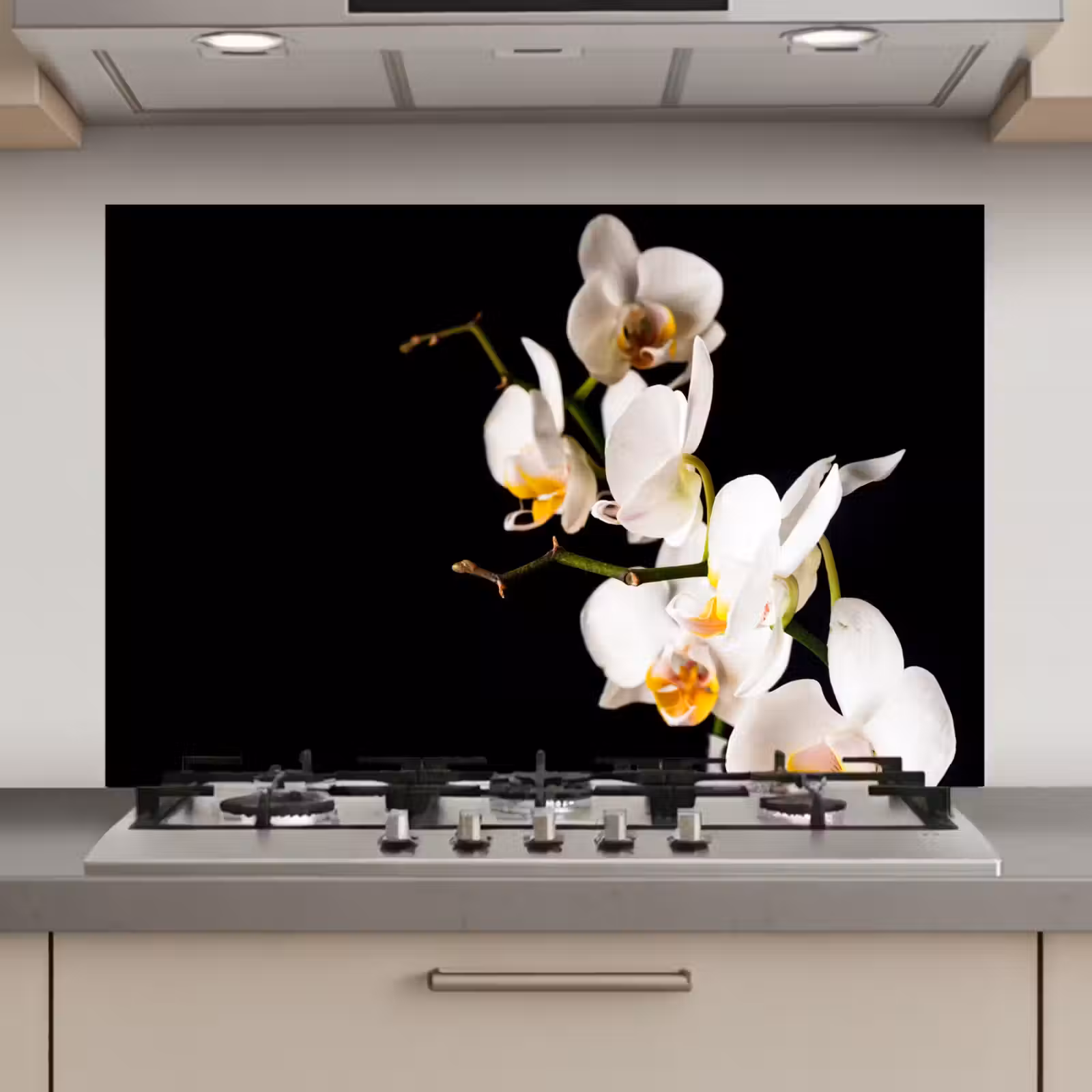 Spatscherm keuken - Orchidee - Bloemen - Planten - Botanisch — 1