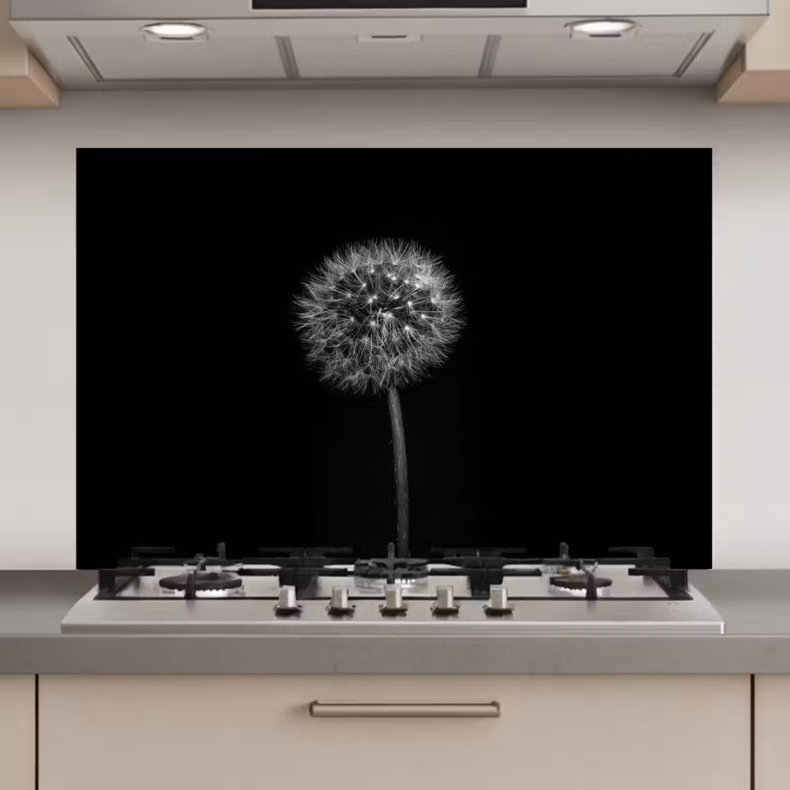 Spatscherm keuken - Paardenbloem - Zwart - Bloemen - Botanisch — 1