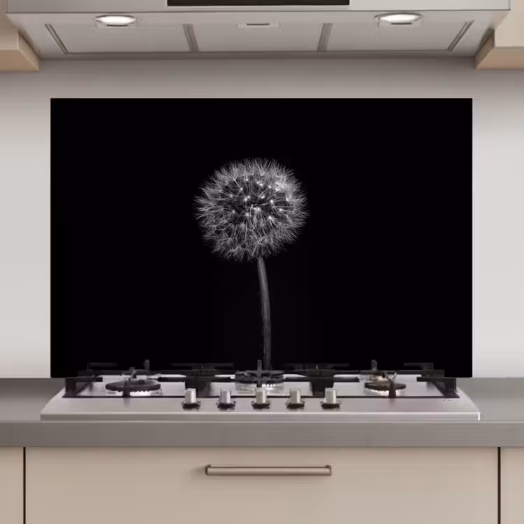 Spatscherm keuken - Paardenbloem - Zwart - Bloemen - Botanisch — 1