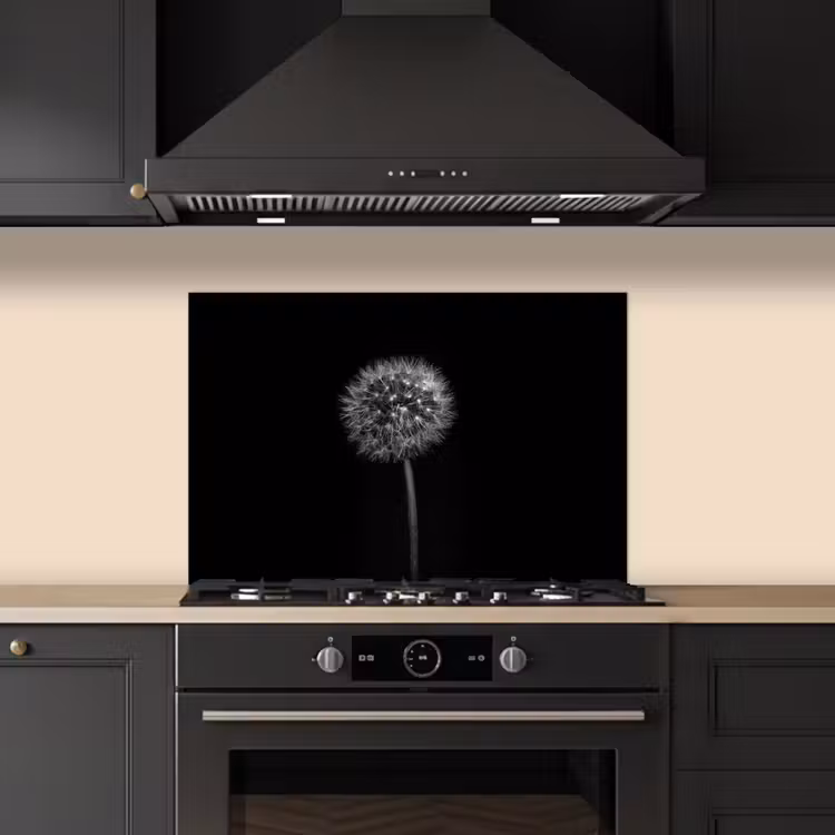 Spatscherm keuken - Paardenbloem - Zwart - Bloemen - Botanisch — 2