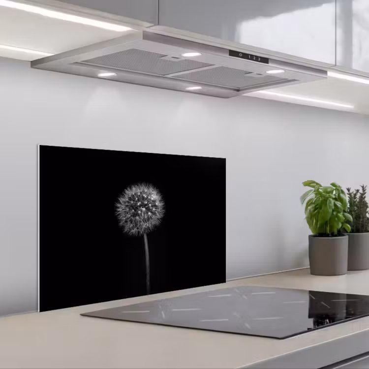 Spatscherm keuken - Paardenbloem - Zwart - Bloemen - Botanisch — 5