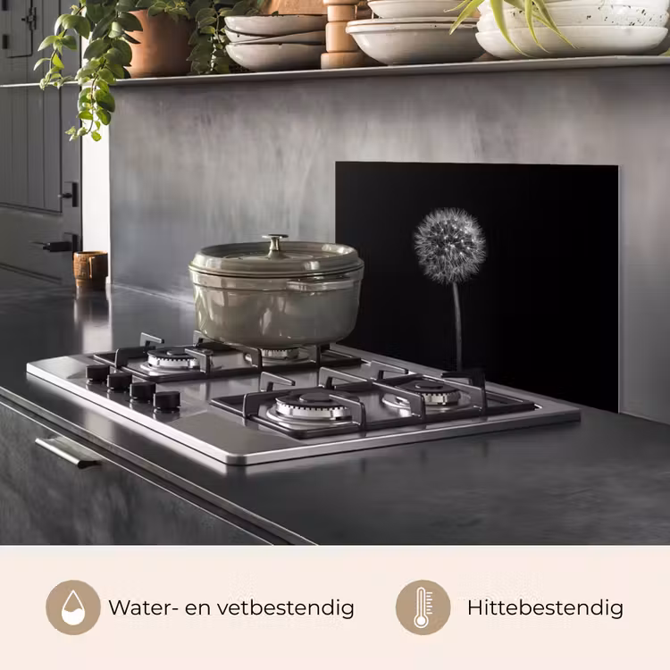Spatscherm keuken - Paardenbloem - Zwart - Bloemen - Botanisch — 7