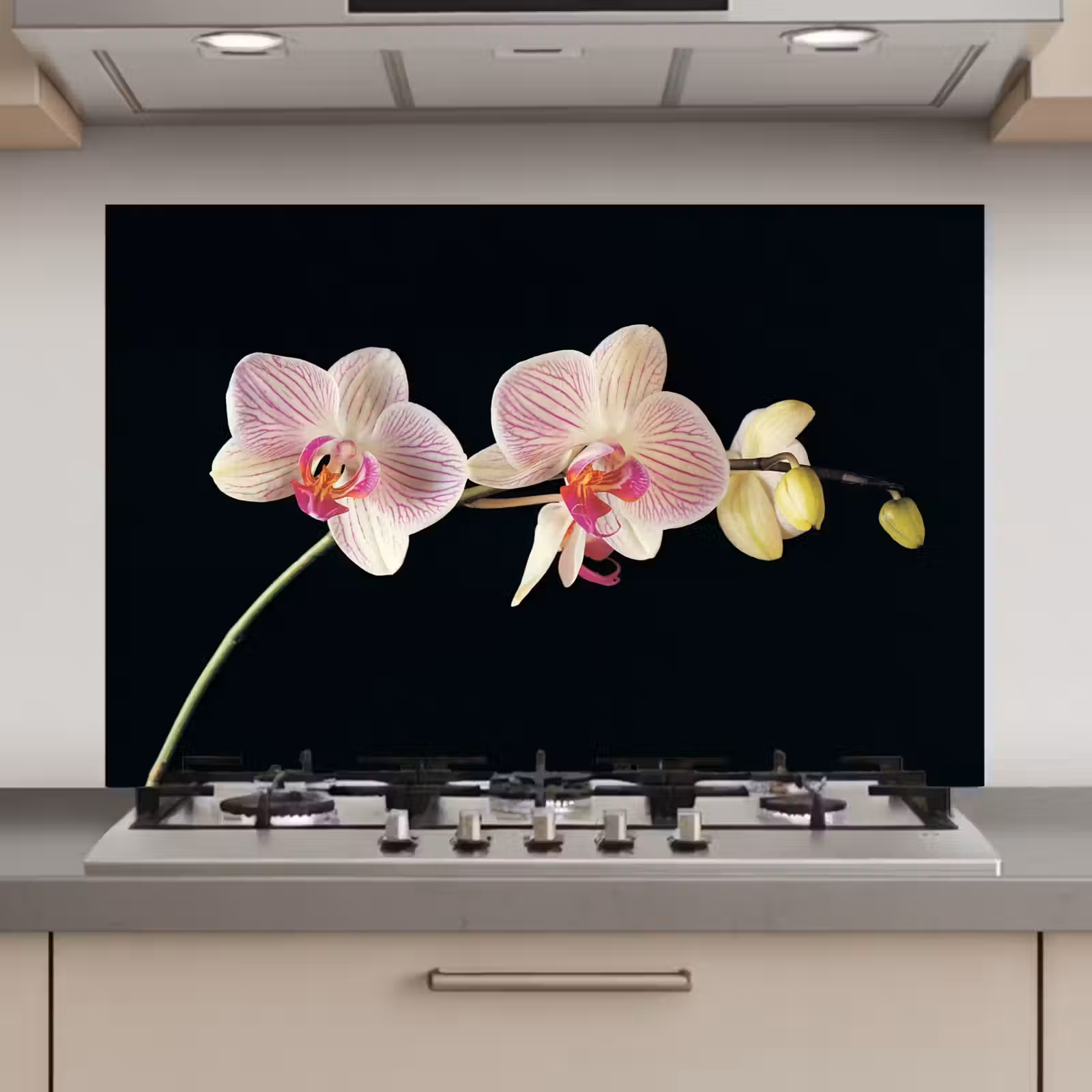 Spatscherm keuken - Gestreepte Orchideeën Elegantie — 1