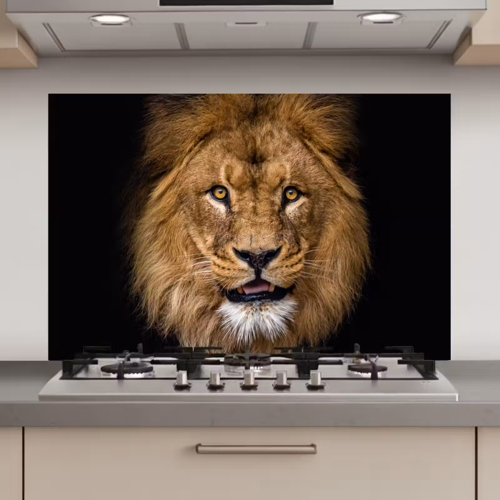 Spatscherm keuken - Leeuw - Portret - Zwart - Dieren — 1