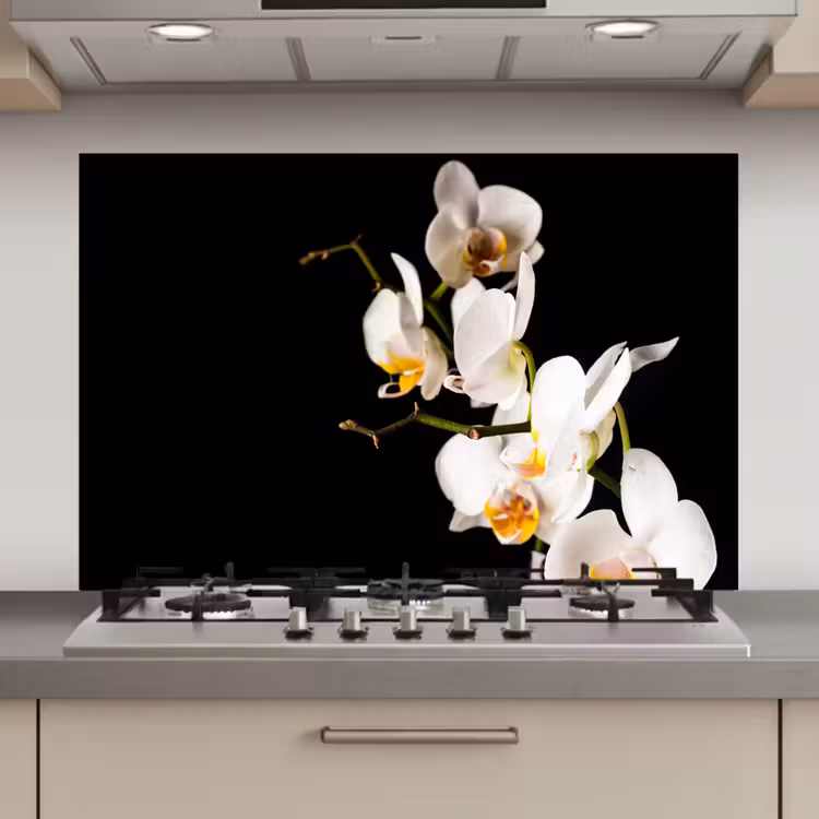 Spatscherm keuken - Contrastrijke Orchideeën — 1